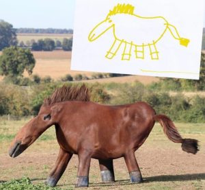 338994185_197310703043759_4131188113306031799_n
