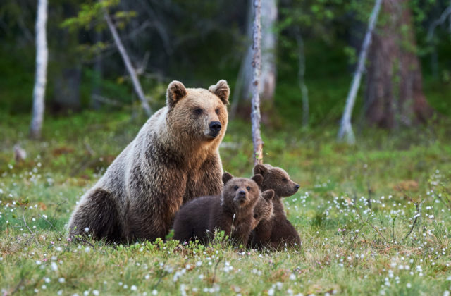 10004808_gettyimages-1148382085-640x420.jpg