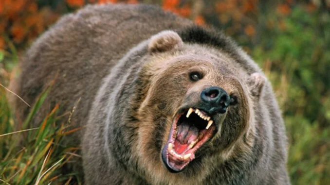 62a48404 1838 4c5f 970f 7903757e82b4 678x381 1