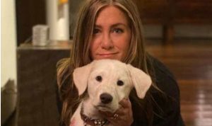 Jennifer Aniston priznala, prečo nemá dieťa. Zdôverila sa so svojou neľahkou cestou a povedala, čo ľutuje…