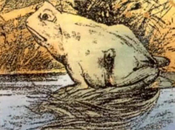 273300746 107580221842286 6894752402850503965 n 3