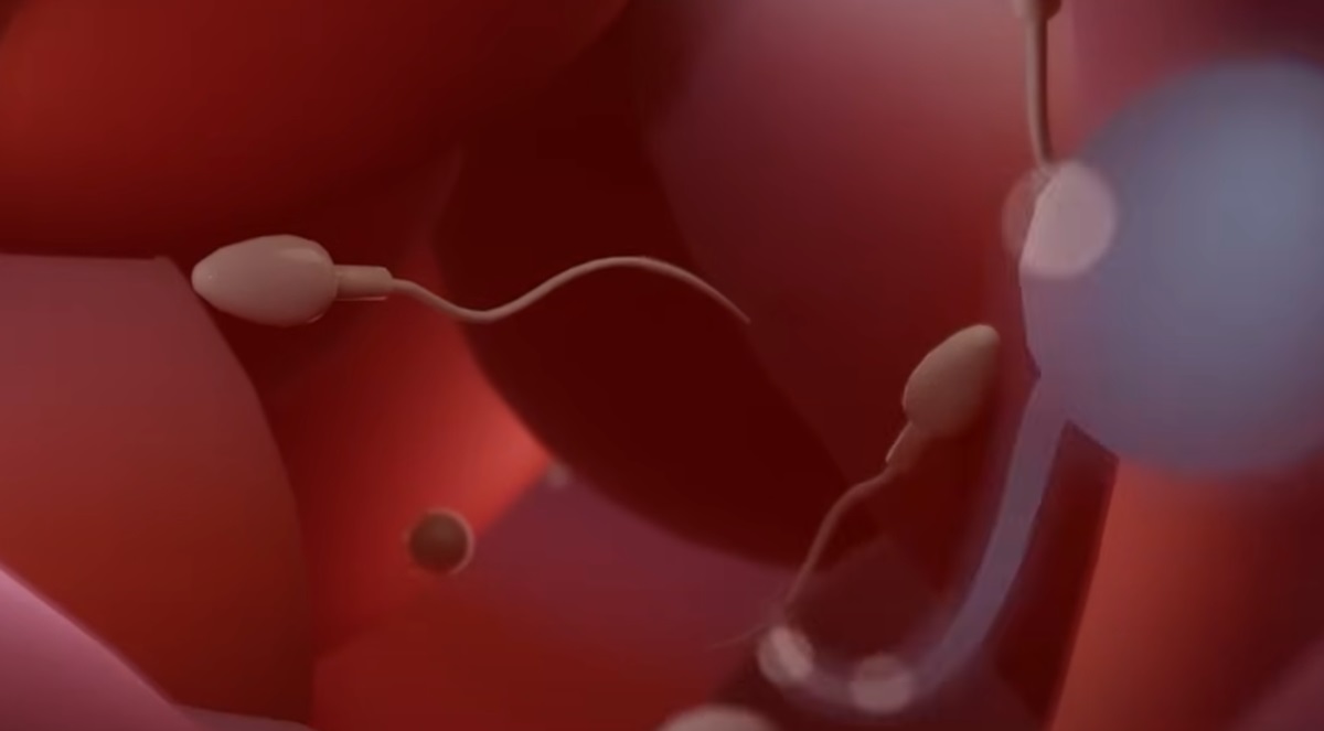 436411699 10233120222214655 870052051307383080 n 2