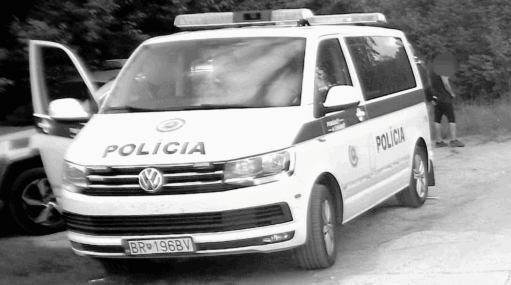 polotno - 2025-05-21T111522.754