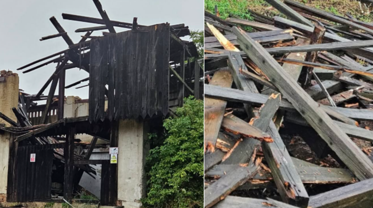 polotno 2025 07 07T192613.715