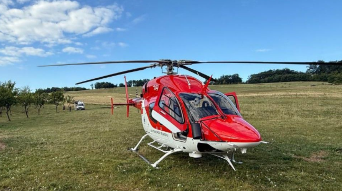 polotno 2025 08 23T124502.036