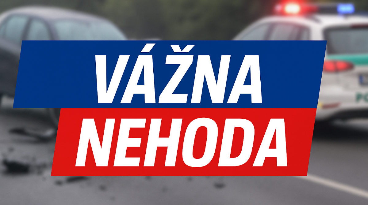 polotno 2025 07 10T113228.247