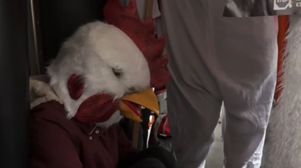 polotno 2025 11 19T214703.101