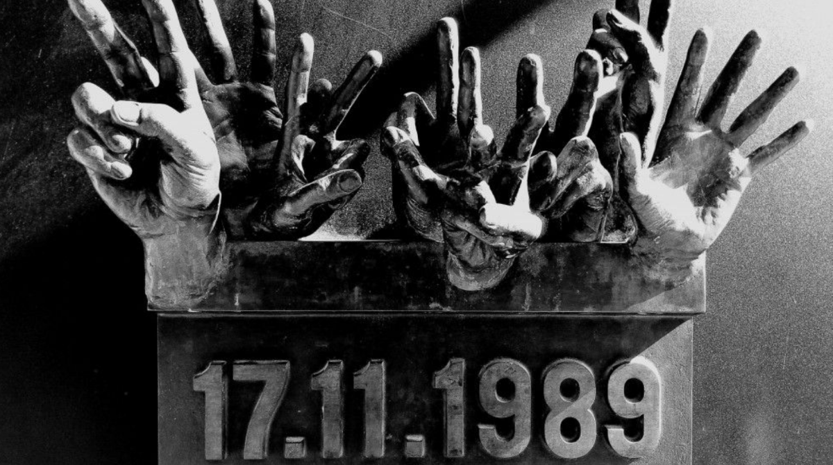 polotno 2025 12 02T115658.930