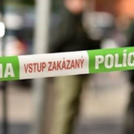 polotno 2025 11 01T105707.738