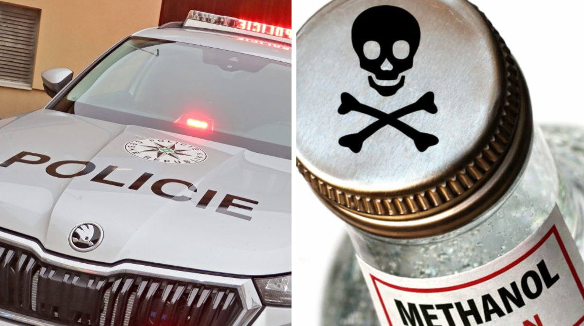 polotno 2026 01 06T122119.626