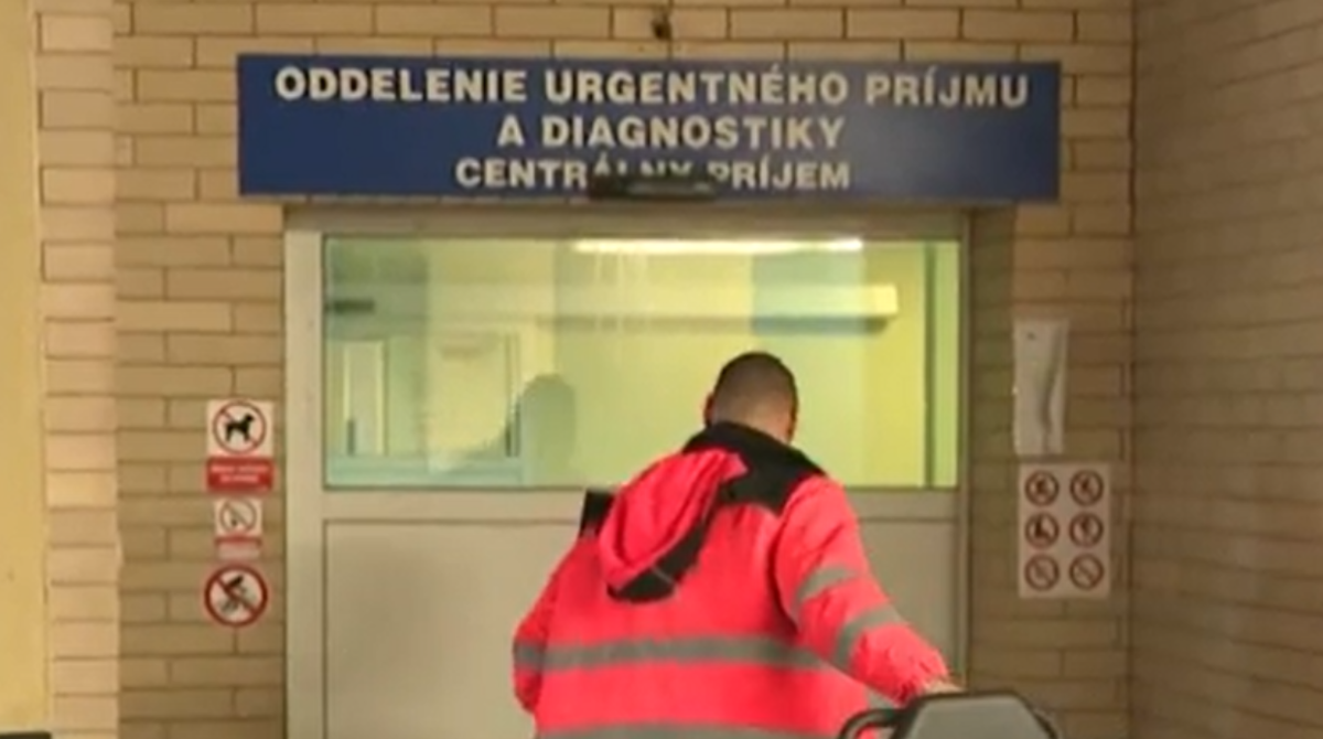 polotno 2026 01 06T122414.867