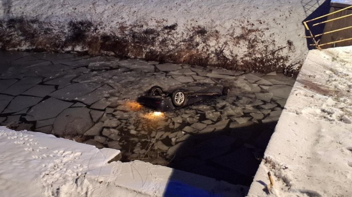 polotno 2026 01 07T114648.451