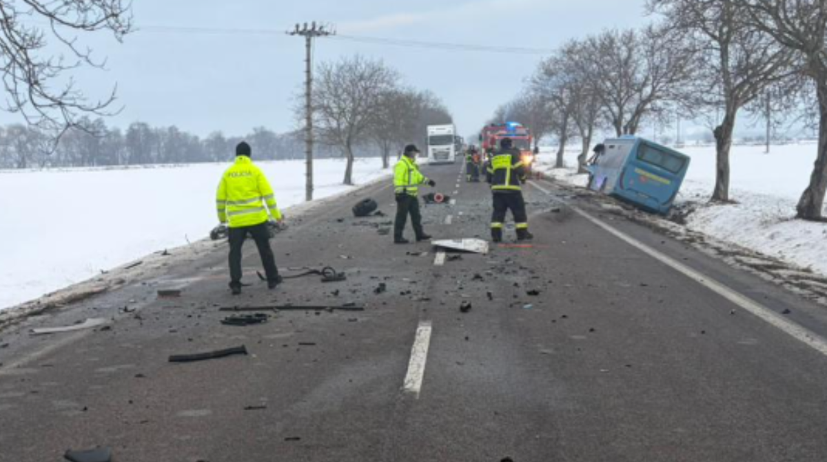 polotno 2026 01 18T140427.413