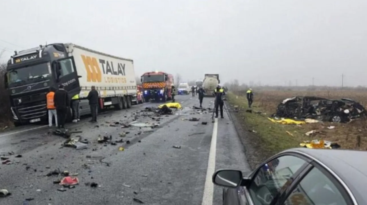 polotno 2026 01 28T101705.225