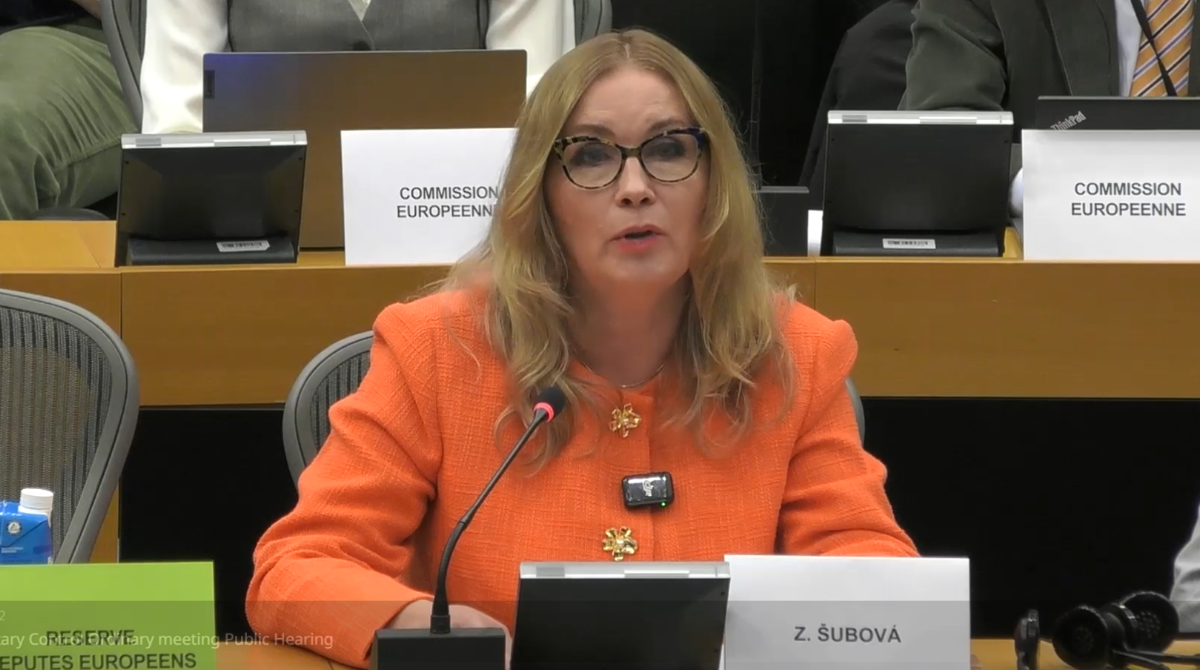 polotno 2026 01 28T134851.848