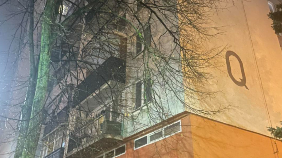 polotno 2026 01 28T175239.993