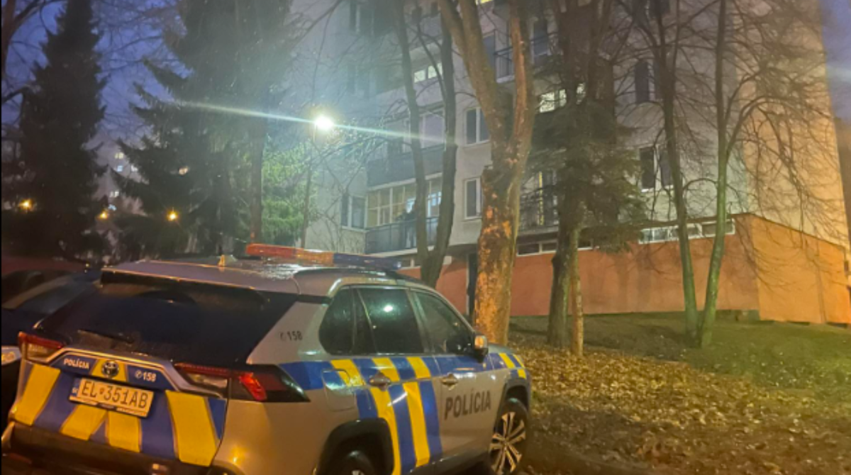 polotno 2026 01 28T175358.216