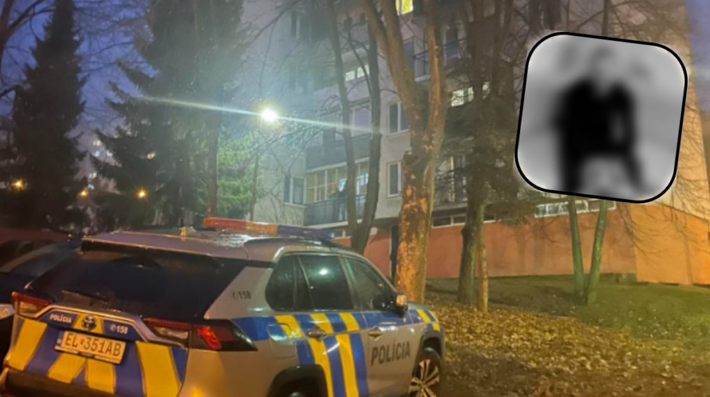 polotno 2026 01 28T181220.840