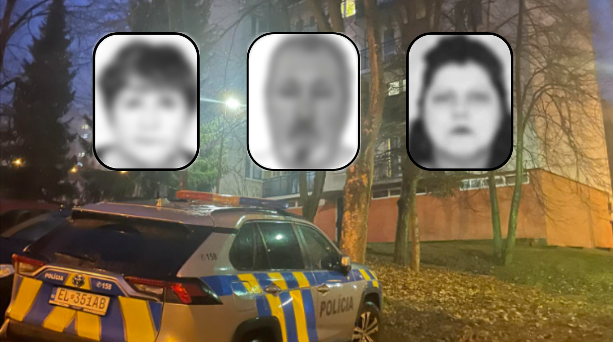 polotno 2026 01 29T190736.564