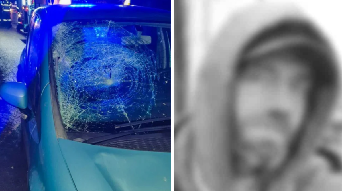 polotno 2026 01 30T181446.074