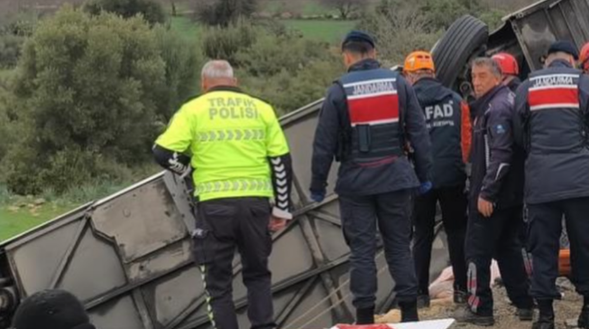 polotno 2026 02 01T165708.430