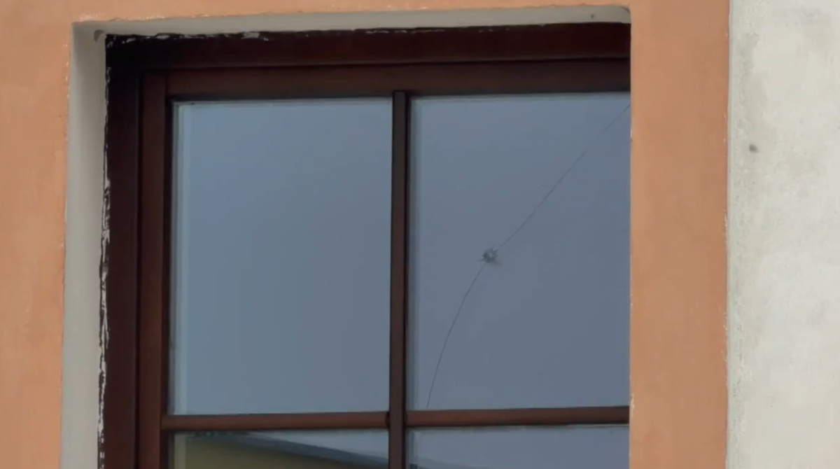 polotno 2026 02 02T185111.677