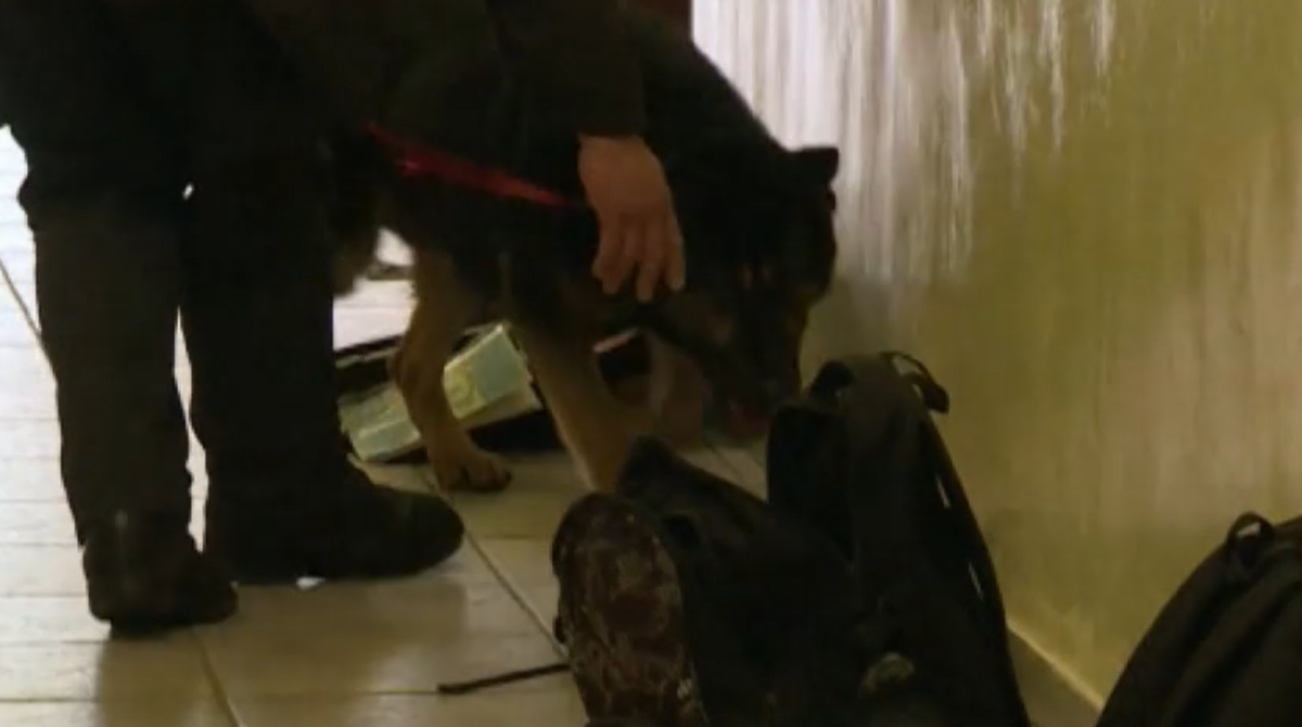 polotno 2026 02 08T162233.775