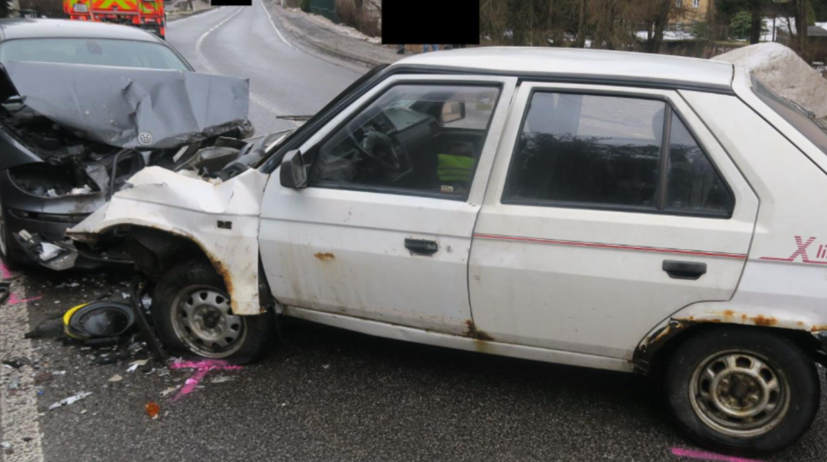 polotno 2026 02 13T160721.542