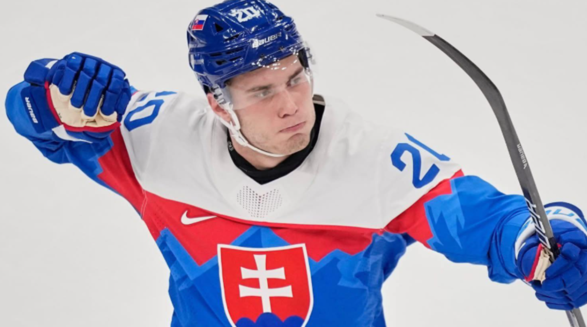 polotno 2026 02 16T145238.962