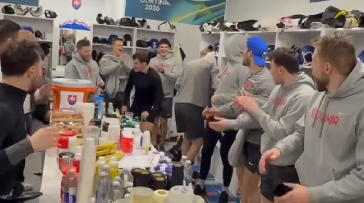 polotno 2026 02 18T182326.383