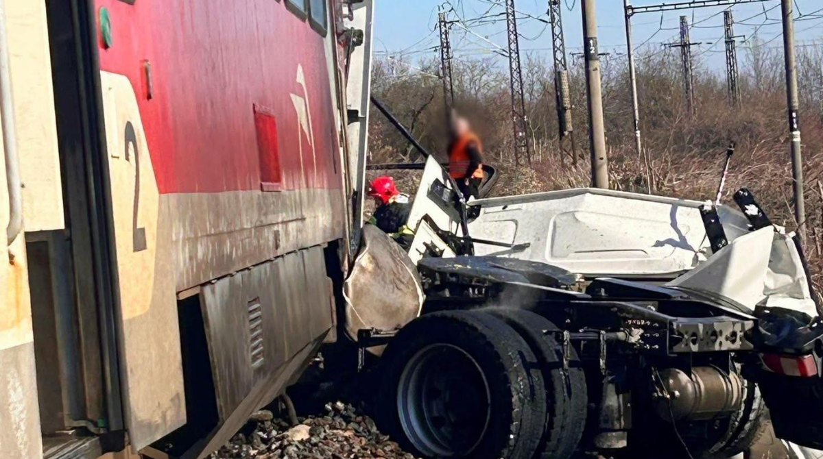 polotno 2026 02 26T123346.050