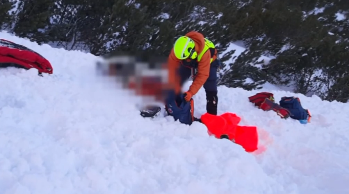 polotno 2026 02 26T210931.081