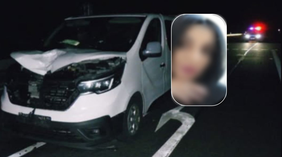 polotno 2026 02 27T100514.429