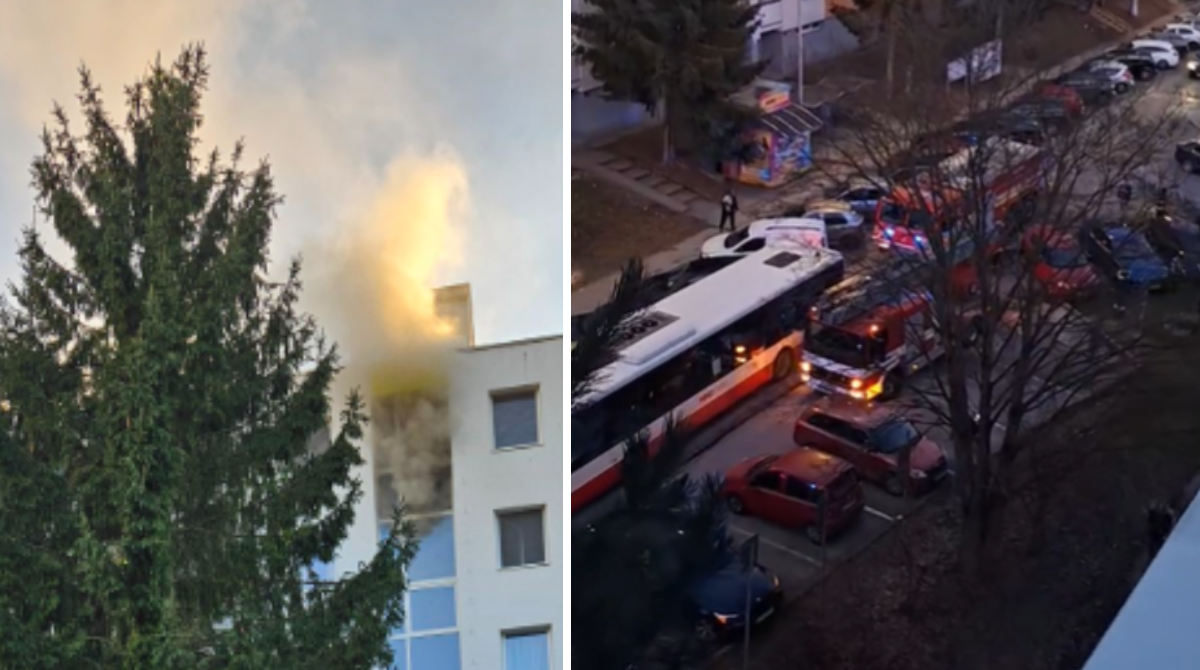 polotno 2026 03 01T203959.399