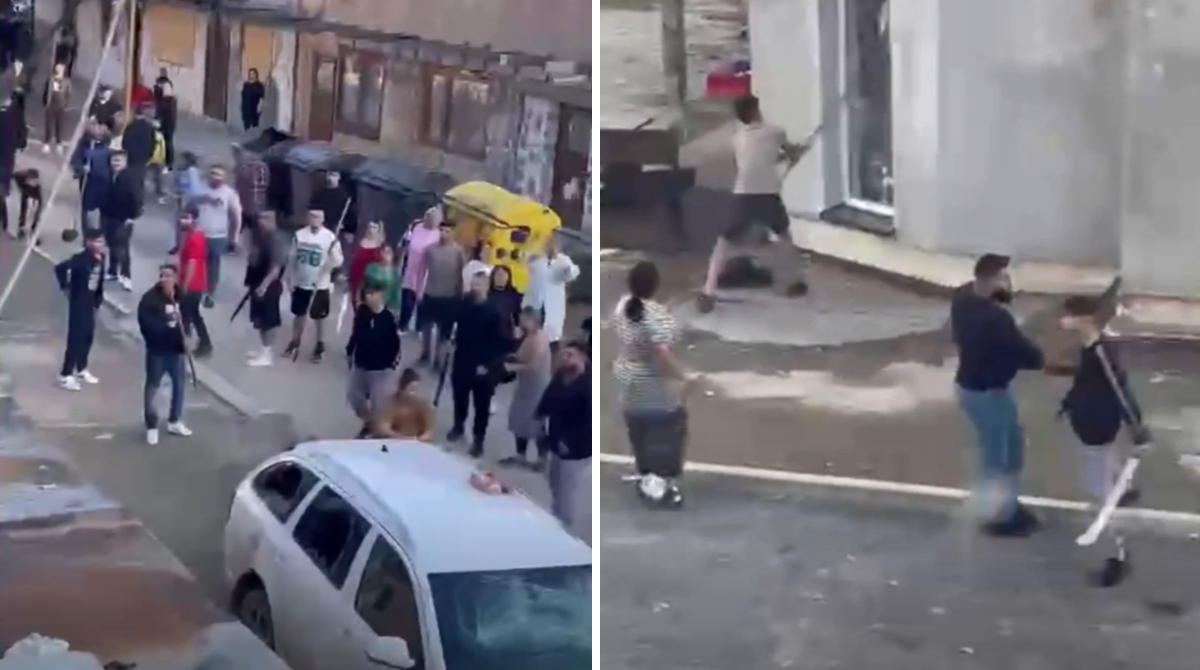 polotno 2026 03 05T114915.358