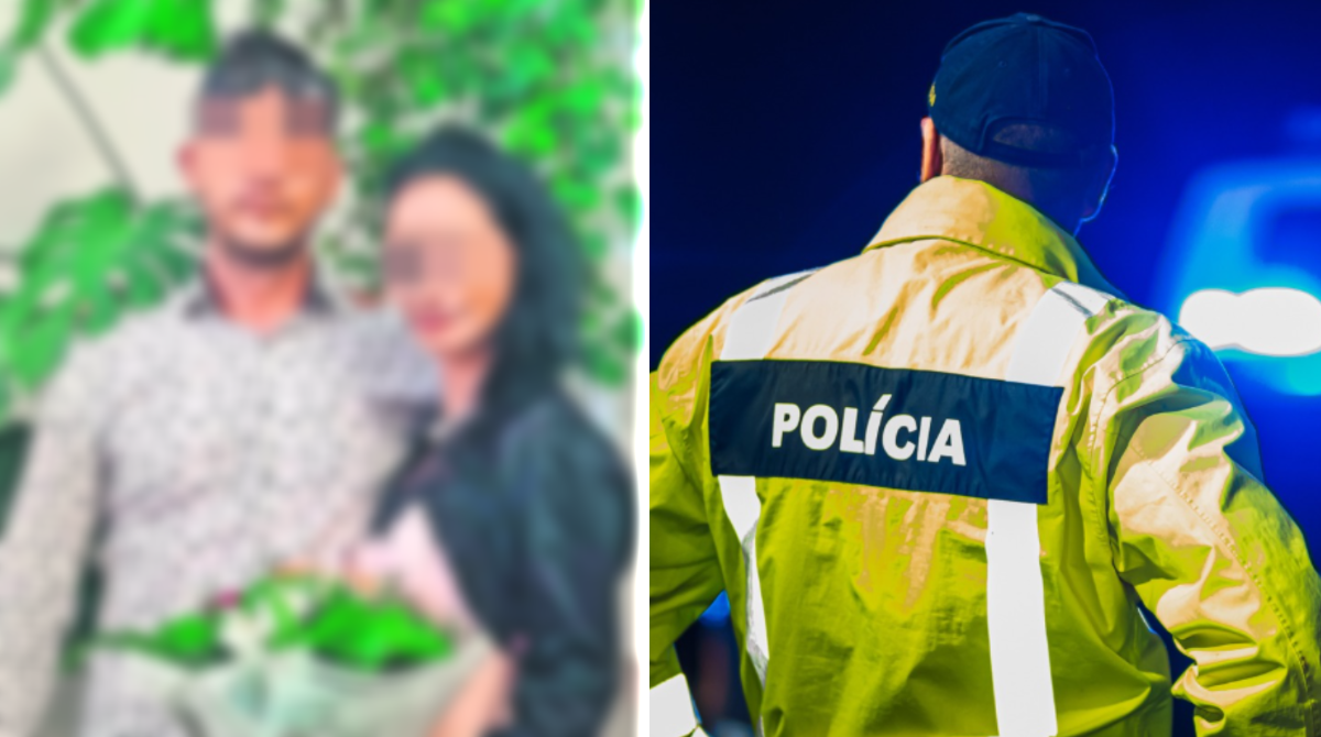 polotno 2026 03 09T171728.609