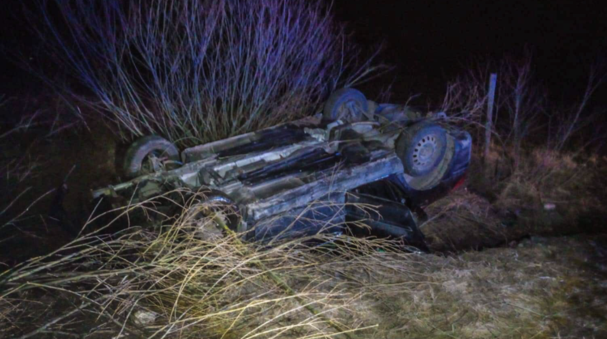 polotno 2026 03 10T130435.331