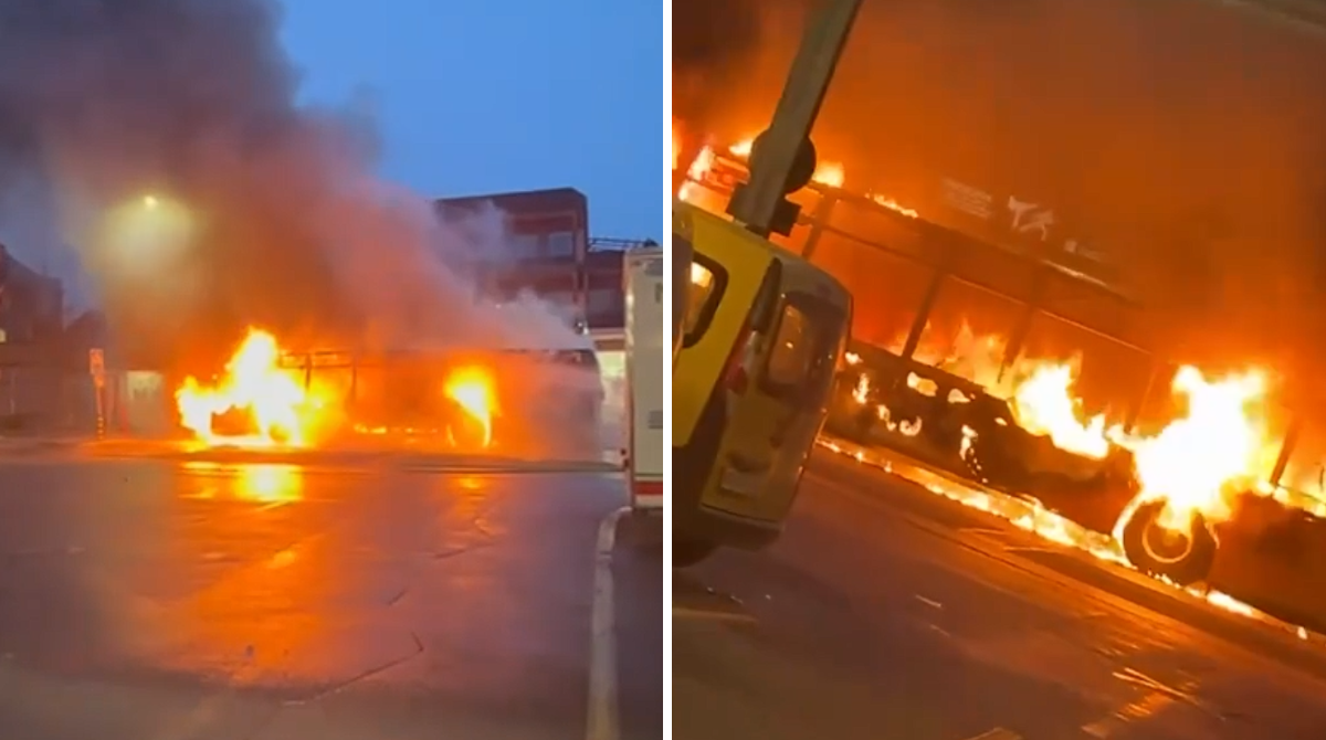 polotno 2026 03 11T091704.984