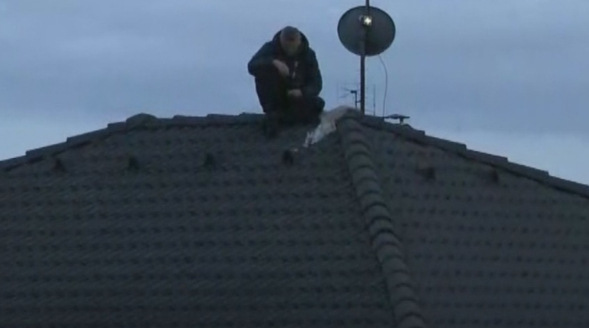 polotno 2026 03 12T201725.099