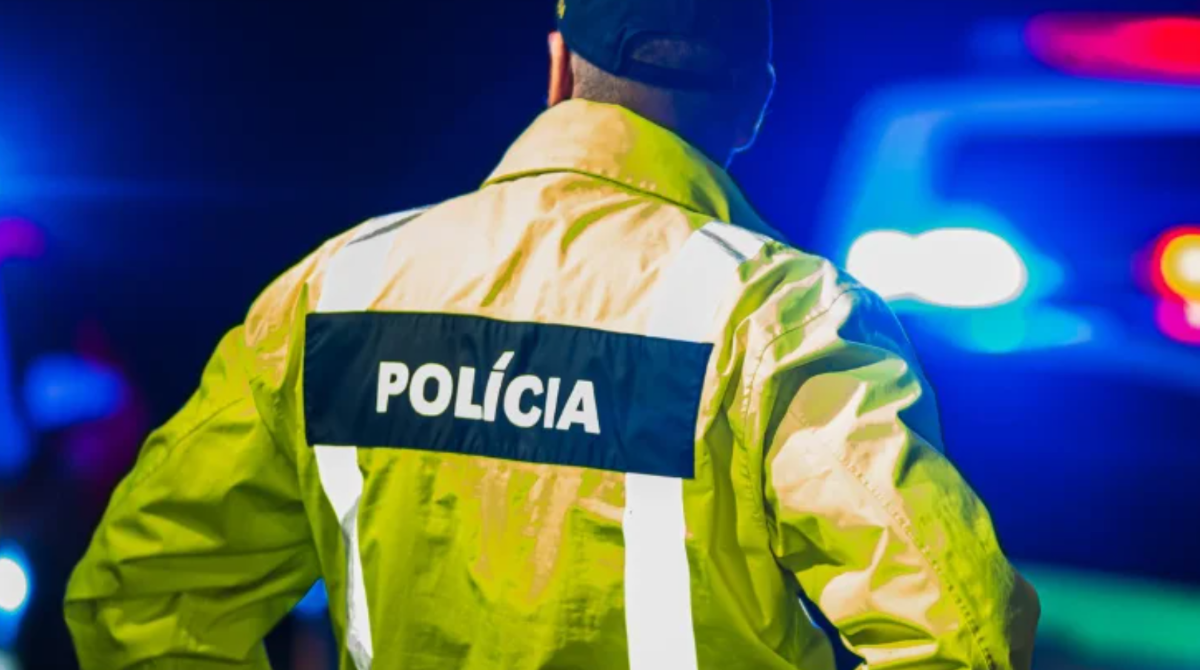 polotno 2026 03 14T200037.860