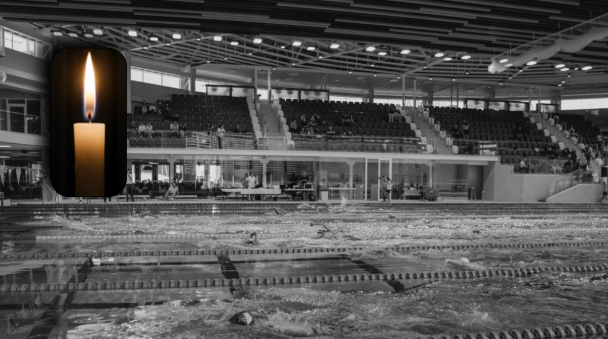 polotno 2026 03 15T191323.770