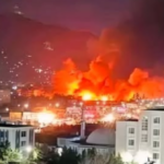 polotno 2026 03 22T185212.158