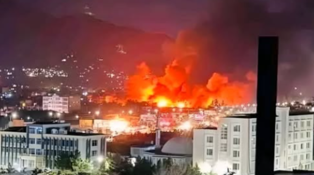 polotno 2026 03 22T185212.158