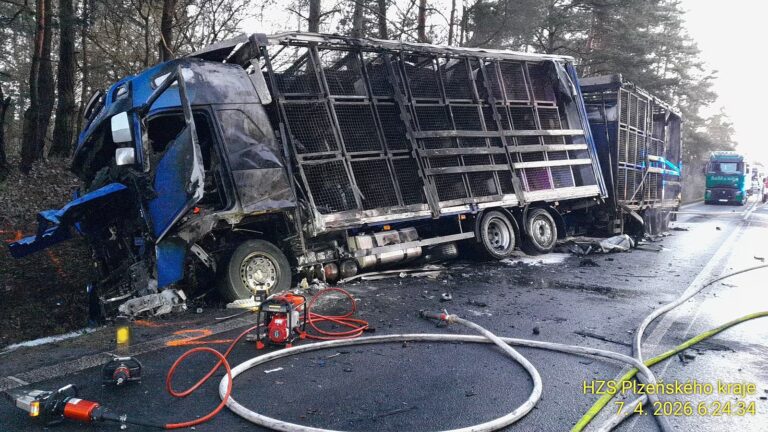 VB489a85d7eb 43 4634938980804124225 n