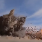 polotno 2026 04 01T182919.929