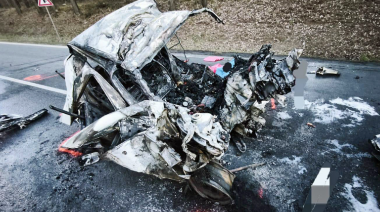 polotno 2026 04 07T174404.489 1