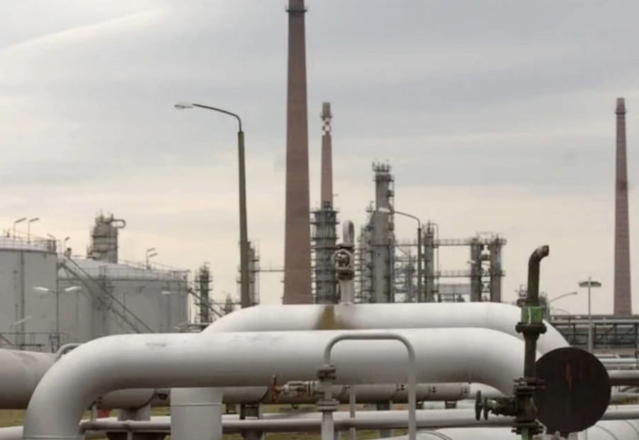 polotno 2026 04 08T123527.819