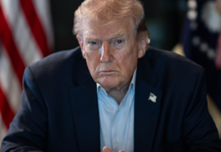 polotno 2026 04 08T134915.638