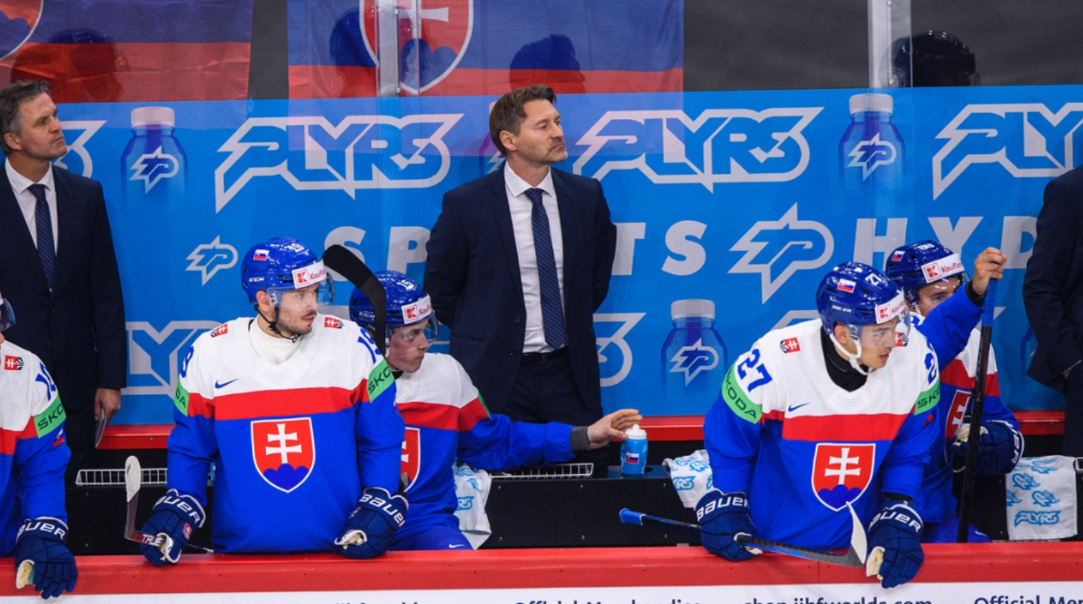 polotno 2026 04 08T191807.678