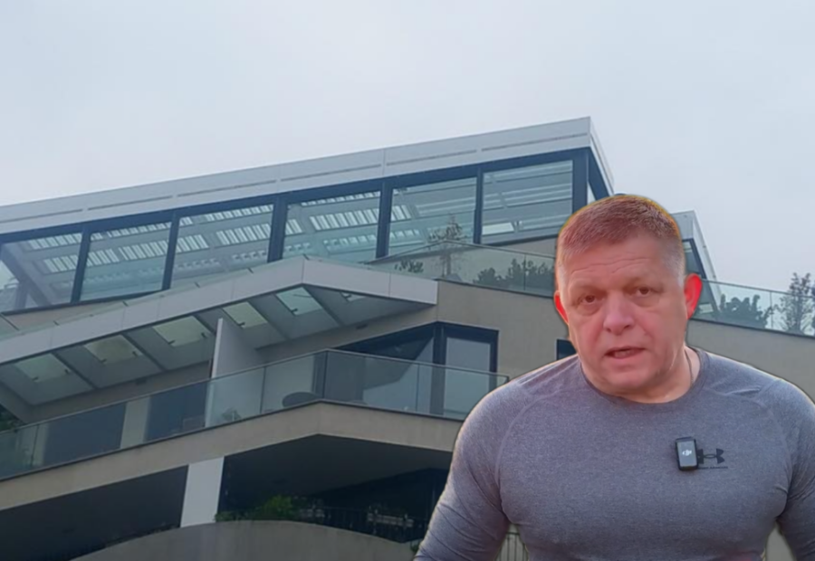 polotno 2026 04 08T194640.604